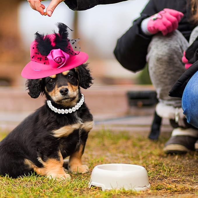 Yewong Formal Top Hat Fascinator Set with Pet Pearl Collar for Kentucky Derby, Christmas, Weeding, Photo Props Party (Pink)