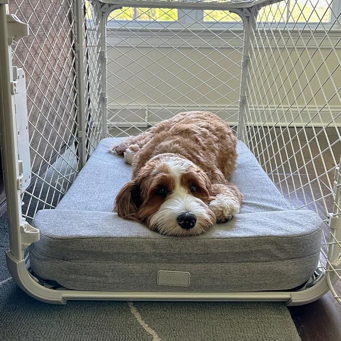 Diggs Bolstr Orthopedic Dog Bed with Headrest - Dog Crate Bed for Evolv Crate & Other Standard Pet Kennels - Durable & Comfortable - (Medium)