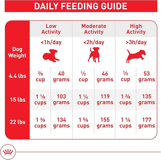 Royal Canin Size Health Nutrition Small Adult Dry Dog Food, 4 lb Bag