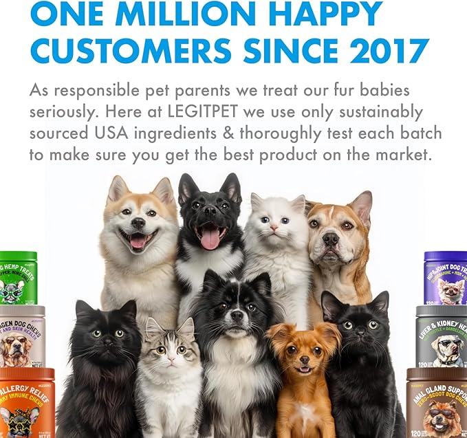 Dog Vitamins - 30 Multivitamins Chews w/Glucosamine Chondroitin, Probiotics Digestive Enzymes and Omegas - Supplement for Overall Health - Joint Support, Immune Health, Skin and Heart Health