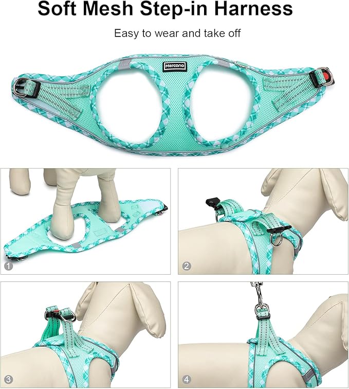 Mercano Soft Mesh Dog Harness and Leash Set, No-Chock Step-in Reflective Breathable Lightweight Easy Walk Vest Harnesses with Safety Buckle for Small Dogs, Cats (Light Green, XS)