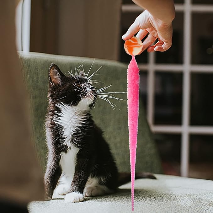 SHENGSEN Bouncy Ball with Tail Cat Toys-5 Packs,Magic Worm with Large Colorful Ball Toy for Cats,Fuzzy Worm Bouncy Balls Cat Toy