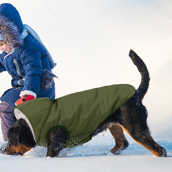 Fleece Hoodie, Windproof Waterproof Coat, Winter Warm Jacket, Cold Weather Pet Apparel Clothes Vest for Small Medium Large Dogs (XXL, Green)