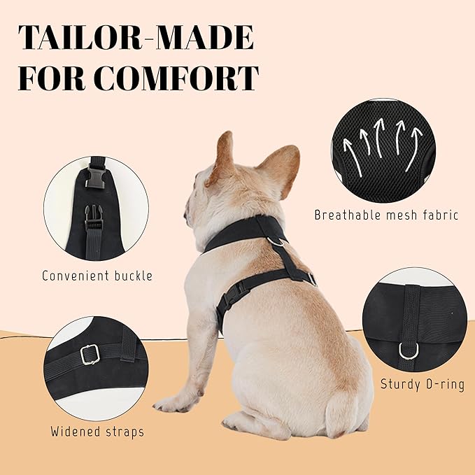 AVERYDAY XS Pet Tuxedo Harness, Wedding Costume Outfit for Small Dogs, Slim Cats and Tiny Pets with 8.3" Neck, 13-14.6" Chest, 10" Max Head Girth, Formal Suit Costume for Mini Breeds