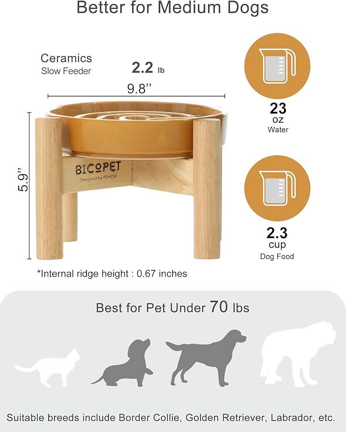 Ceramic Maze Dog Slow Feeder with Non-Slip Silicone Rim (& Bamboo Stand) – Heavy-Duty Stoneware Bowl with Puzzle Pattern for Bloating & Obesity Prevention (Raised-Orange-M)
