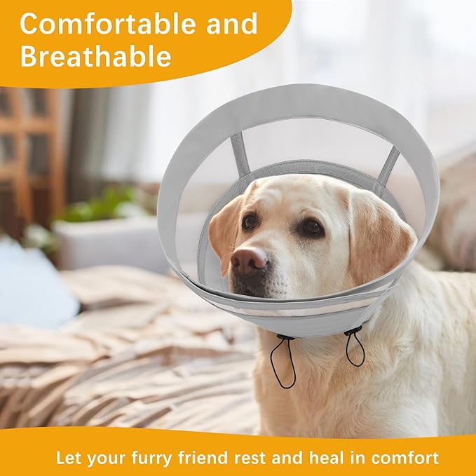 ASENKU Dog Cone Collar, Soft Adjustable Cone for Dogs to Stop Licking, Lightweight Recovery Dog Cone After Surgery, Pet E-Collar for Small, Medium & Large Dogs(Grey, M)
