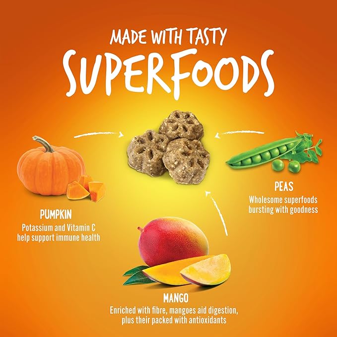 Fruitables Skinny Mini Dog Treats – Healthy, Low Calorie Training Treats – Wheat, Corn & Soy Free – Pumpkin Mango – 5 Ounces (Pack of 2)