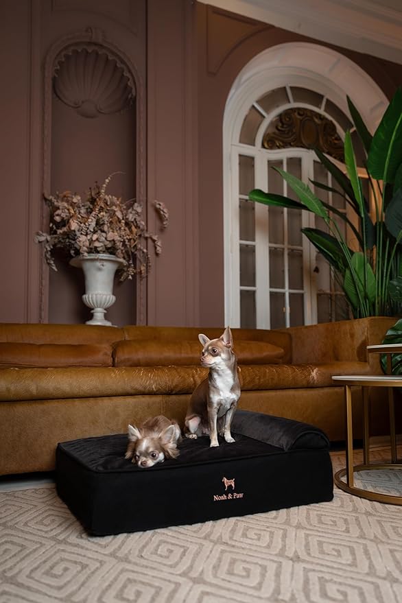 NOAH & PAW Large Dog Bed, 35x25x11 Inch, Orthopedic Dog Beds, Eggshell Memory Foam Infused with Cooling Gel, Inner Cover, Waterproof, Machine Washable (Velvet Sofa Collection)