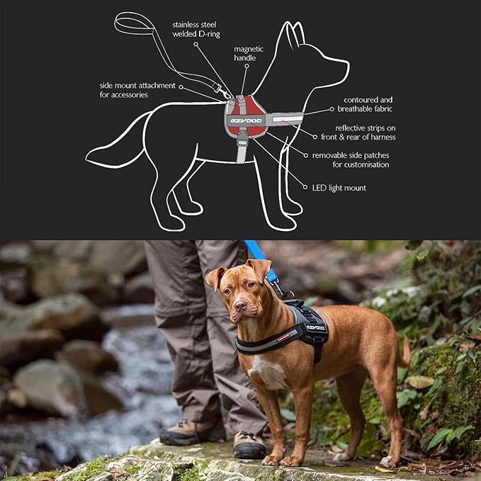 EzyDog Convert Dog Harness – Trail-Ready Rugged Harness for Walking, Hiking & Outdoors with Reflective Piping, Badge Attachment Points, Traffic handle, & Comfort Lining (Large, Charcoal)