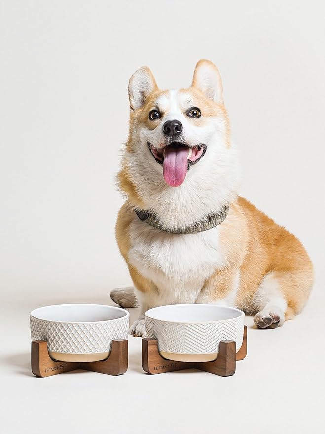 LE TAUCI PET Ceramic Dog Bowl Set, 4 Cups Food and Water Bowl for Medium Small Dogs, Cute Pet Dishes with Wood Stand, Rhombus+Wave Design (Set of 2)