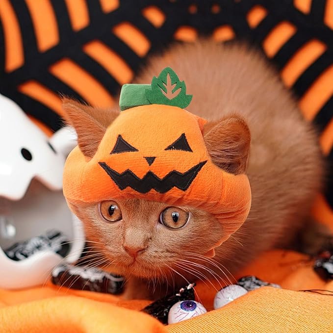 ABTOLS Halloween Dog Cat Pumpkin Shape Hat, Adjustable Soft Small Pet Orange Pumpkin Cap Headwear for Puppy Dogs Kittens Halloween Festival Cosplay Costume Accessory Headgear