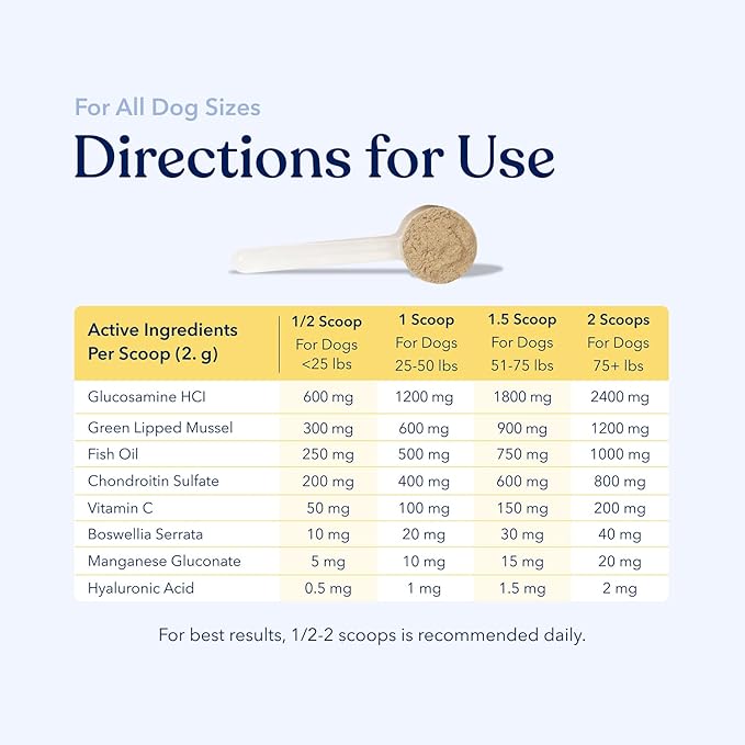 Honest Paws Joint Supplement for Dogs - Supports Mobility, Hip & Joint Health, Eases Stiffness - Glucosamine, Green Lipped Mussel, Fish Oil, Chondroitin Sulfate, MSM, Vitamin C