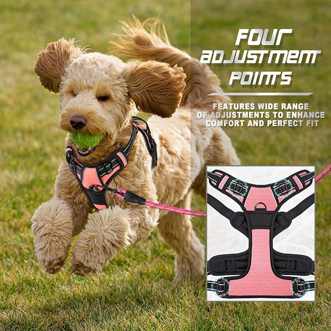 BARKBAY No Pull Dog Harness Front Clip Heavy Duty Reflective Easy Control Handle for Large Dog Walking(Light Pink,XS)