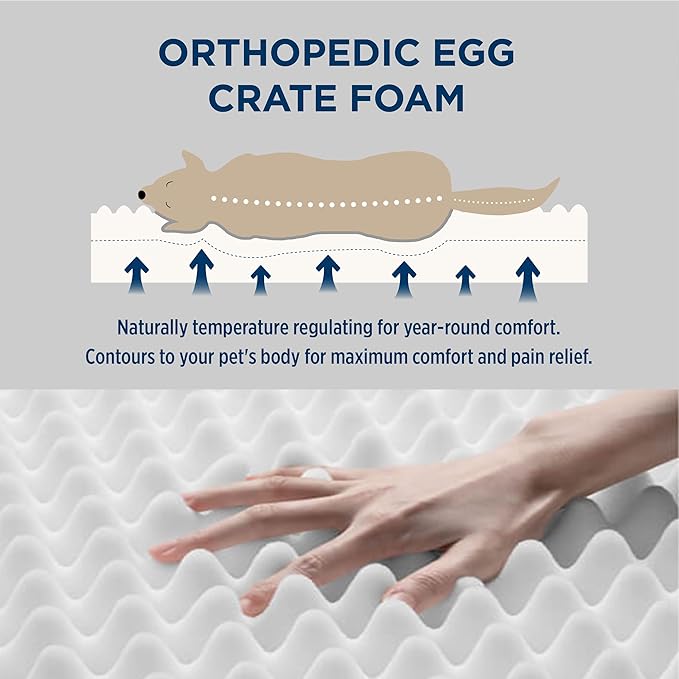 Bedsure Dog Bed for Small Dogs - Orthopedic Flat Puppy Beds with Removable Washable Cover, Egg Crate Foam Pet Mat, Suitable for Pet Up to 20 lbs