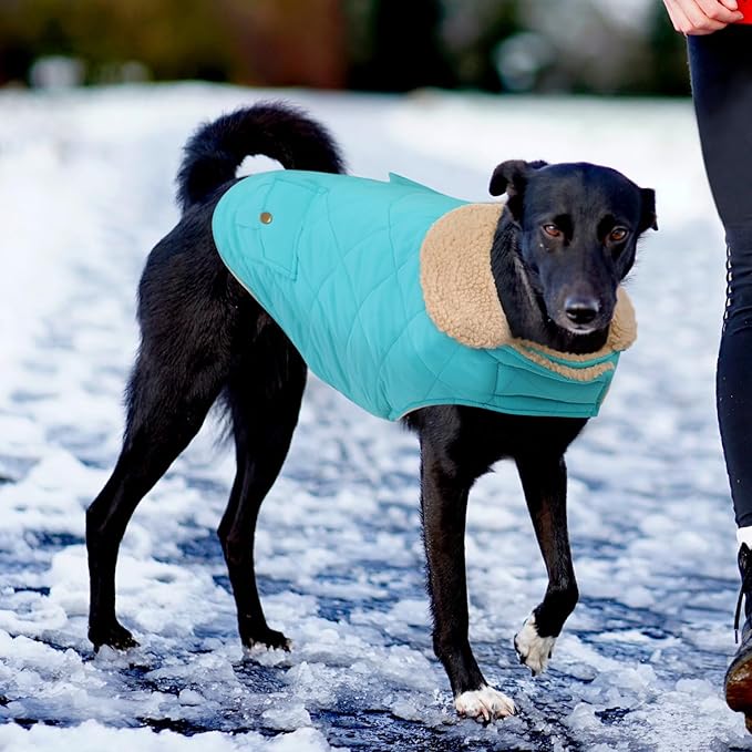 Large Dog Winter Jacket, Pet Warm Windproof Coat Dogs Cold Weather Coats Snow Jacket Pets Clothes, Golden Retriever, Labrador Retriever, Husky, Blue L