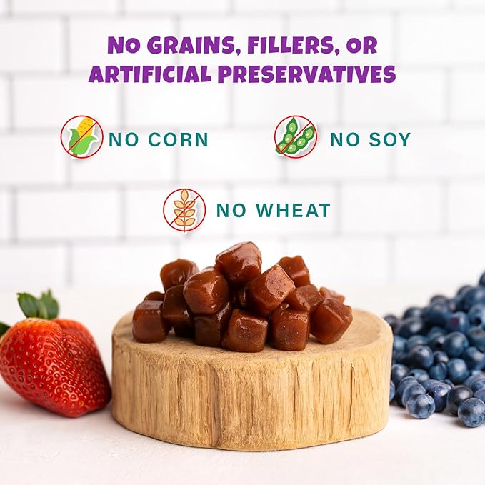 Wildberry Plant-Based Fruit Dog Treats - Strawberry, Apple, Blueberry Soft & Chewy - Vegetarian, Vegan Dog Treats with Organic Ingredients - Low-Protein, Hypoallergenic, Gluten-Free