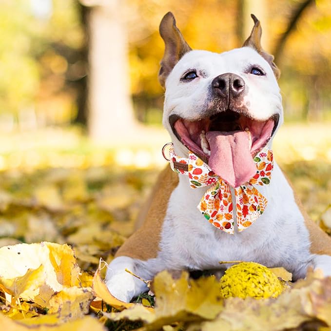 Unique Style Paws Thanksgiving Day Collar with Bowtie Fruit Leaf Flower Fruit Durable Cute Cotton Dog Collars for Small Medium Large Dogs