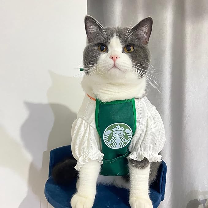 Pet Bucks Cat and Dog Clothes, Funny Costume - Suitable for Most Small Dogs or Cats, Soft, Comfortable and Breathable (S)