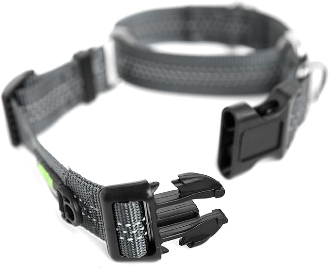 Mighty Paw Martingale Nylon Training Collar - Durable and Safe Choke Collar - Dog Collars Cinch for Controlled Training - Reflective Stitching for Dogs Safety - Grey - Large