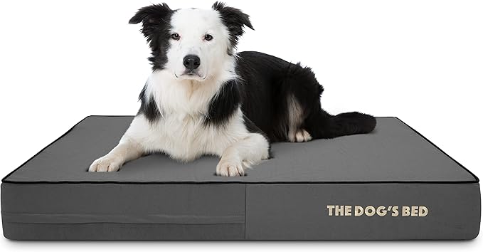 The Dog’s Bed Orthopedic Memory Foam Dog Bed, Large Grey & Black, Waterproof, Supportive Dog Bed with Replaceable Covers