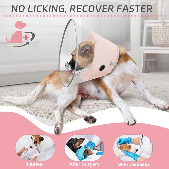 Dog Cone Collar to Stop Licking, Clear Elizabeth Recovery Collar with Soft Pad for Large, Medium, Small Dogs, Pet Head Cone Alternative After Surgery, Neutering, Injury (M)