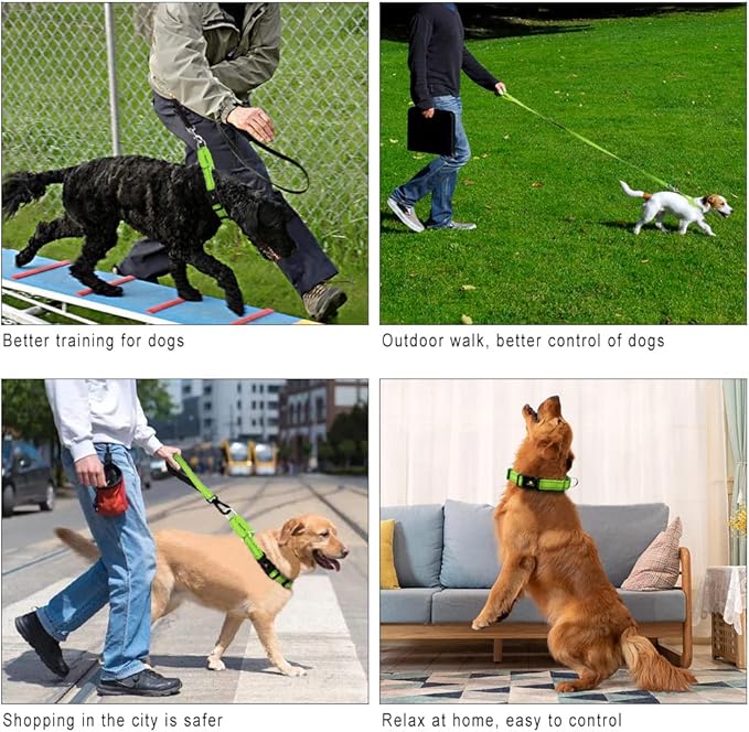 Plutus Pet Reflective Martingale Collar with Buckle - Durable and Adjustable Training Collar for No Pulling, Dog Choker Collar for Small Medium Large Dogs, Bright Green, L