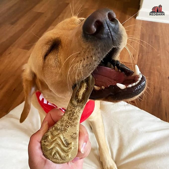 Redbarn Pet Products Chew-A-Bulls (Size: Large, Shape: Brush, Case of 25)