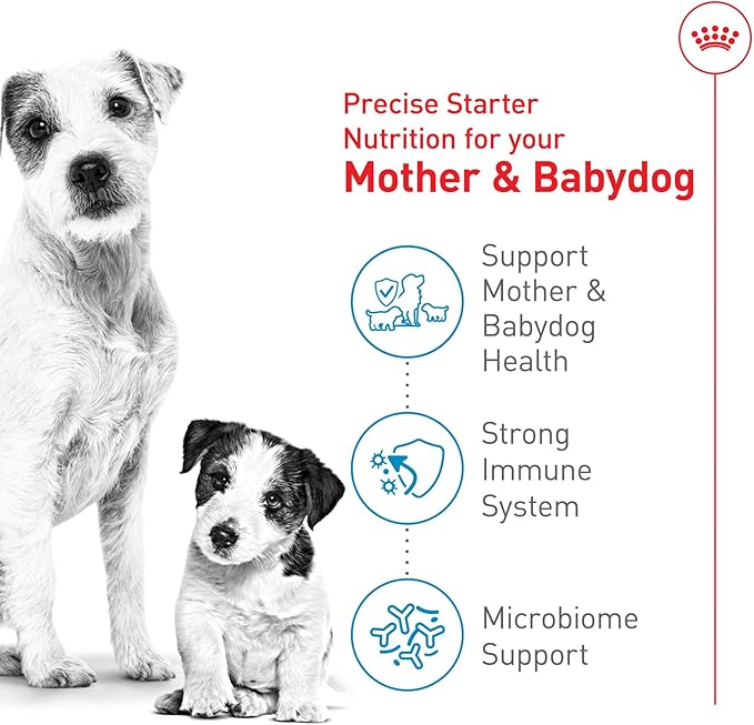 Royal Canin Size Health Nutrition Small Starter Mother & Babydog Dry Dog Food, 2.5 lb Bag