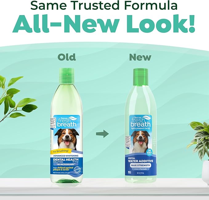 TropiClean Fresh Breath Advanced Whitening Water Additive for Dogs, Max Strength Dog Teeth Cleaning and Breath Freshener Solution, 16oz