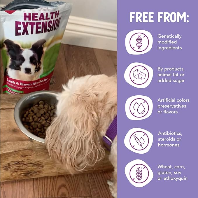 Health Extension Lamb & Brown Rice Dry Dog Food (1 lb / 0.45 kg) - Nutritious Free-Range Lamb Formula with Probiotics, Antioxidants & Omega 3 for Dogs with Sensitive Digestion (Pack of 4)