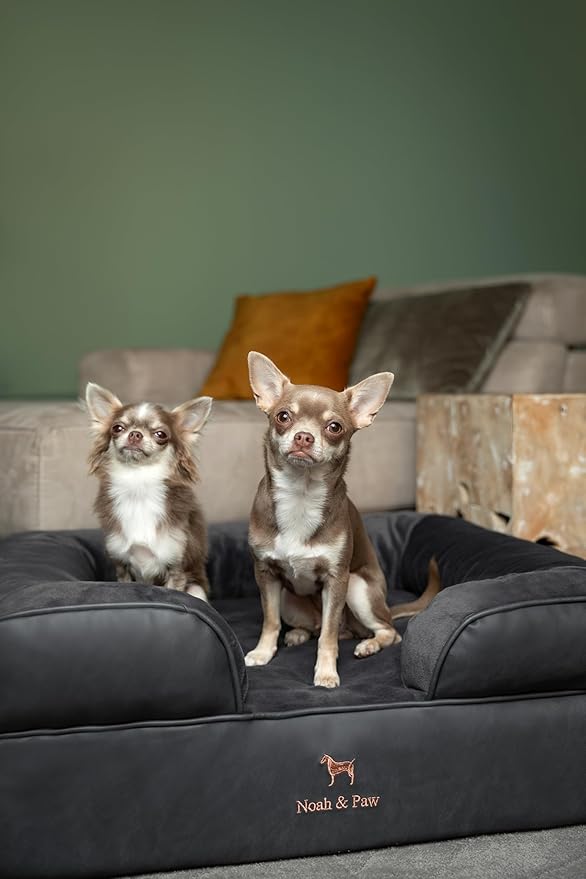 NOAH & PAW Dog Bed, 28x23x11 Inch, Orthopedic Dog Beds for Medium Size Pets, Eggshell Memory Foam Infused with Cooling Gel, Inner Cover, Waterproof, Machine Washable (Faux Leather Sofa Collection)