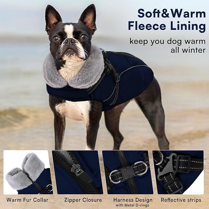 Queenmore Small Dog Coat,Dog Coat for Small Dogs,Reflective Windproof Dogs Jackets with Built-in Harness,Doggy Winter Jacket with Zipper On Back,Warm Pet Coats with Fleece Lining,NavyBlue,S