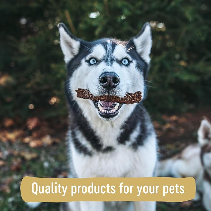 Farm Hounds - Duck Gizzards - Premium Natural Jerky for Dogs - 100% Humanely Raised Duck - Break-to-Size - Great for Training & Treats - No Added Fillers - Made in USA - 4oz - 2 Pack