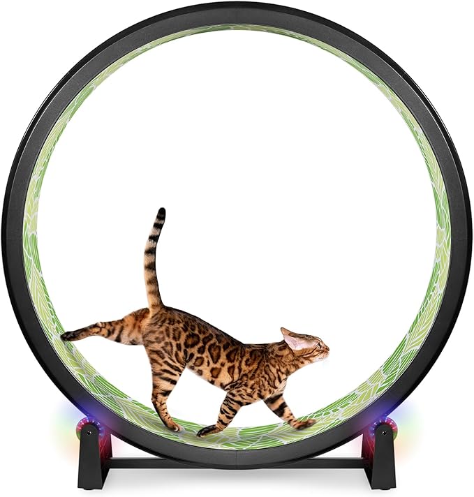 One Fast Cat - Cat Exercise Wheel - Gen. 7 - Safe 48" Diameter - Made in The USA - Black Wheel with Jungle Leaves Foam Traction Pads and Light-Up LED Inline Wheels