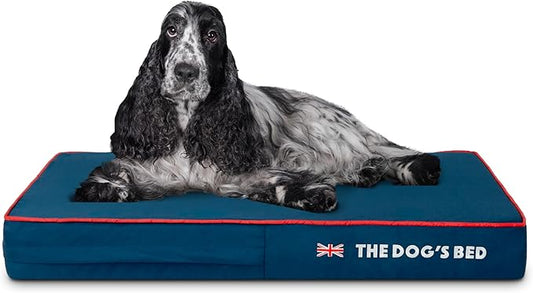 The Dog’s Bed Orthopedic Memory Foam Dog Bed, Medium Blue Oxford with Red Trim UK Flag, Pain Relief for Arthritis, Hip & Elbow Dysplasia, Post Surgery, Supportive, Calming, Waterproof Washable