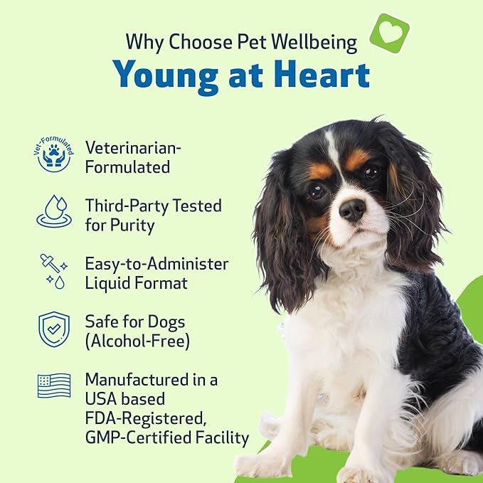 Pet Wellbeing Young at Heart for Dogs - Heart Health, Circulatory & Cardiovascular System, Hawthorn, Motherwort, Schisandra - Veterinarian-Formulated Herbal Supplement 4 fl oz (118 ml)