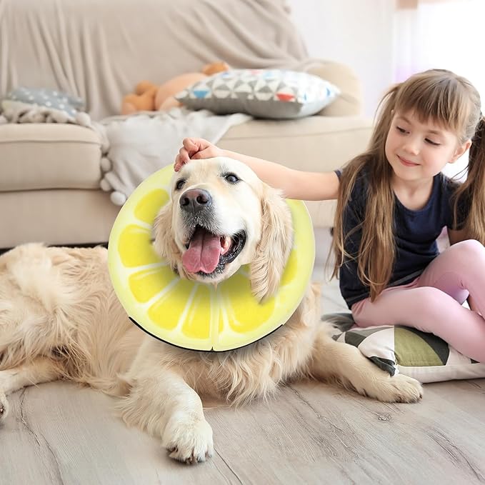 Adjustable Inflatable Dog Cone Collar for Surgery Recovery, Soft Cone for Dogs & Cats, Portable & Washable Dog Donut Collar, Large Cat Cone E Collar (Yellow L)