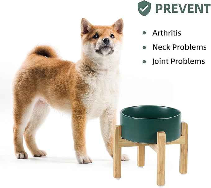 Ceramic Raised Dog Bowl Set, Elevated Dog Bowl with Stand, Food and Water Bowl for Medium Breed Dogs, Weighted Pet Dishes(7.3'',41OZ, Green)