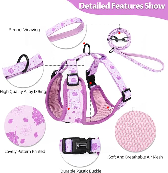 Dog Harness and Leash Set, Adjustable Dog Harness, Dog Leash, No Pull No Choke Puppy Harnesses for Walking Training for Small Medium Pet (Wines, L(Chest 18.5-27.1", Neck 14.5-20.1"))