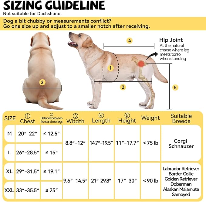 Dog Wheelchair for Back Legs Large Small, Newly Wheelchair for Dogs, Adjustable Dog Carts with Wheels for Disabled Hind Legs, with LED, Leash, Angle-Adjustable All-Terrain Wheels