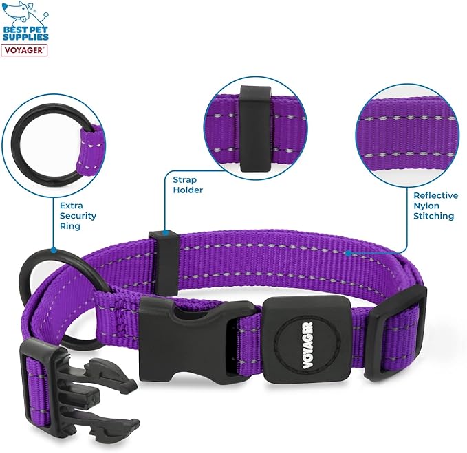 Best Pet Supplies Reflective Dog Collar with Adjustable Length, Heavy-Duty Buckle, and Strong Leash D-Ring, Training, Walking, Jogging Accessory for Small, Medium, and Large Breeds - Purple, M