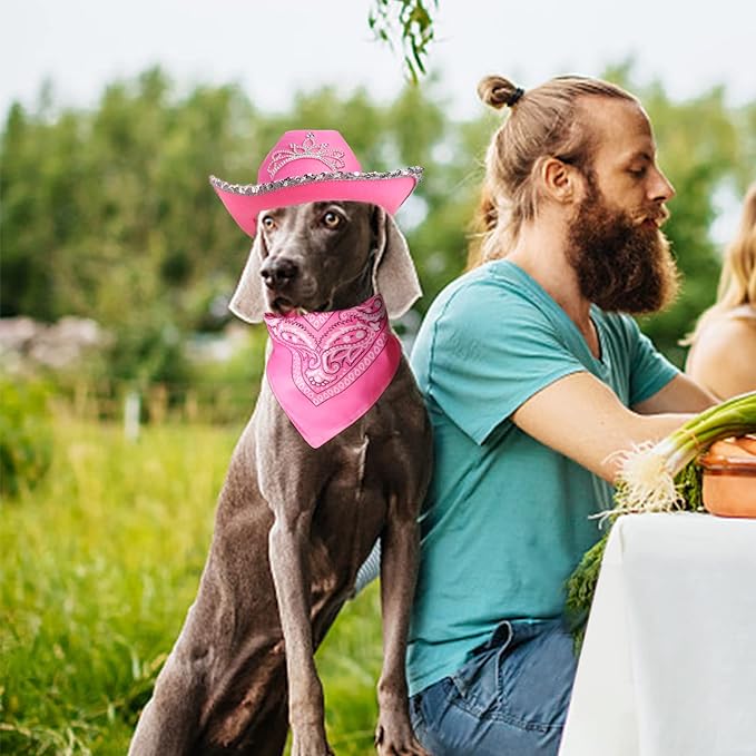 Yewong Pet Pink Cowboy Hat Costume Accessory Set Dog Cat Size Pink Cowgirl Princess Hat with Crown Tiara Bandana/Scarf for Cat Puppy Western Costume Daily Wearing Photo Props (Set A)
