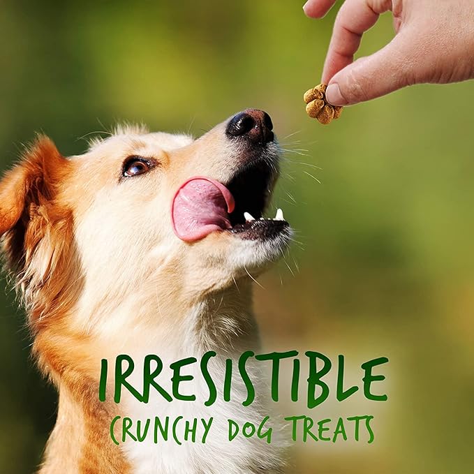 Fruitables Baked Dog Treats, Healthy Pumpkin Treat for Dogs, Low Calorie & Delicious, Free of Wheat, Corn and Soy, Made in the USA, Pumpkin and Apple Flavor, 7oz