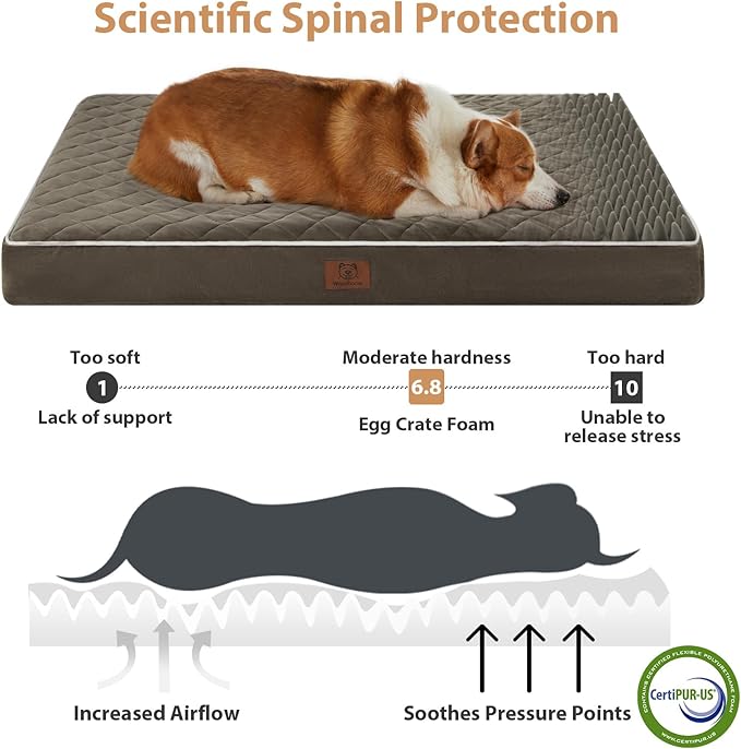 WNPETHOME Orthopedic Big Dog Beds Large Sized Dog, Waterproof Extra Large Dogs Bed with Removable Washable Cover, Multi-Needle Quilting Dogs Crate Bed
