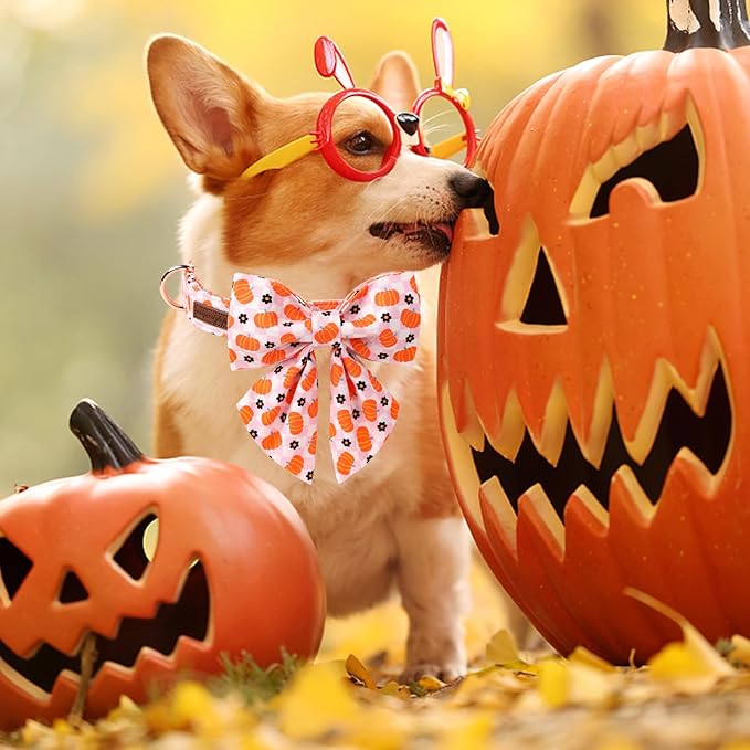 Unique Style Paws Halloween Day Dog Collar with Bowtie Pink Pumpkin Cotton Dog Collars for Small Medium Large Dogs
