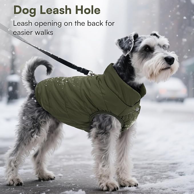 ASENKU Windproof Dog Winter Coat Waterproof Fleece Jacket Cold Weather Pet Apparel for Small Medium Large Dogs (ArmyGreen, 2XL)