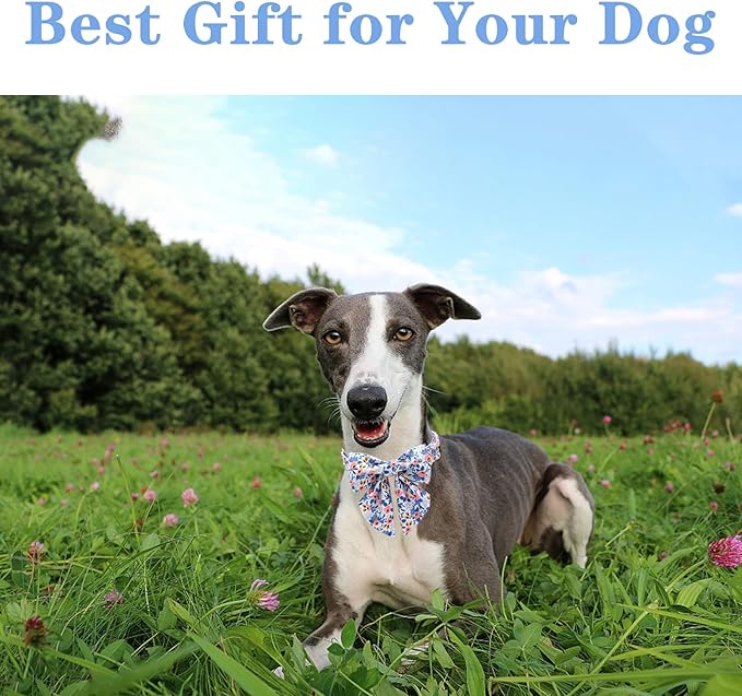 Unique style paws Dog Collar with Tie Adjustable Blue Bowtie Puppy Collars for Small Medium Large Dogs and Cats-M