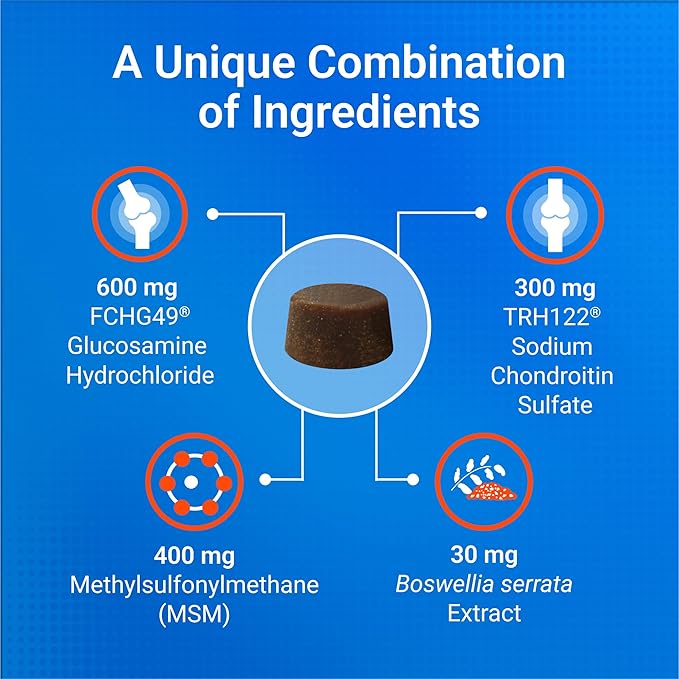 Nutramax Laboratories Cosequin DS Plus MSM Professional Line for Dogs, 60 soft chews