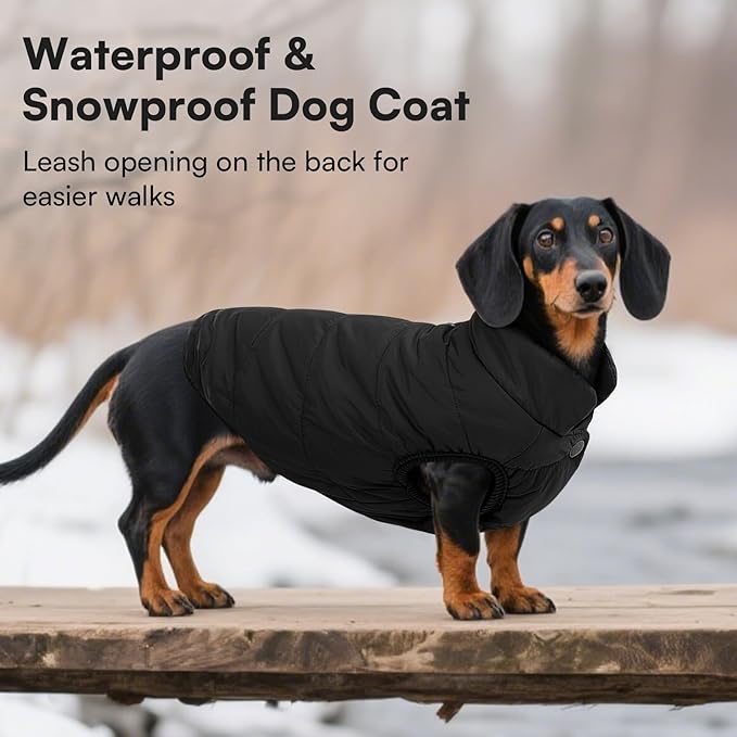 ASENKU Windproof Dog Winter Coat Waterproof Fleece Jacket Cold Weather Pet Apparel for Small Medium Large Dogs (Black, S)