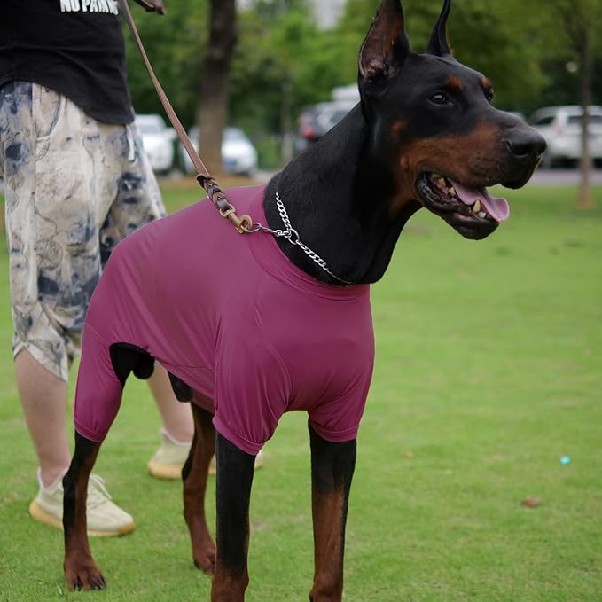 LoveLongLong Dog Jumpsuit with UV Protection and Quick-Dry Fabric for Spring Summer Pet Pajamas Taro Purple 2XL